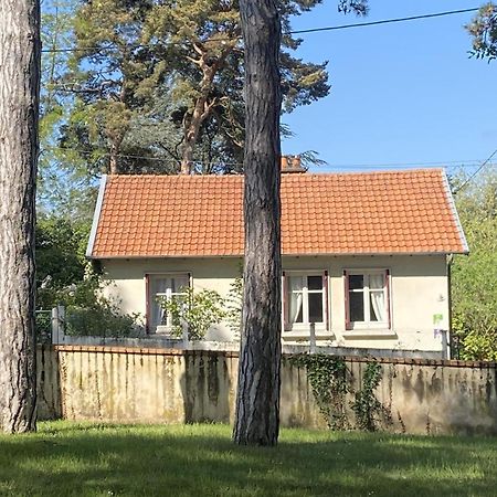 Вилла Charmante Maison Avec Jardin En Face Du Parc, Proche Commerces Et Attractions Touristiques - Fr-1-489-333 Мулен Экстерьер фото